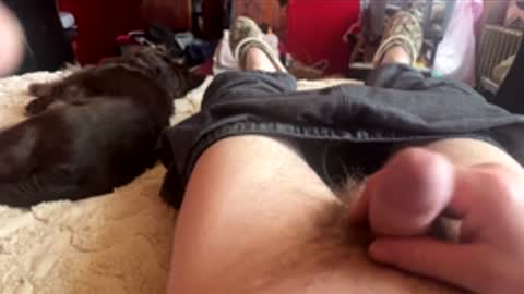 Snapshot of littletj324312 chatting on February 24, 5:33 pm Little Tj online show from February 24, 5:33 pm