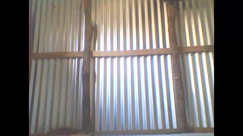 yanah online show from November 5, 5:40 am