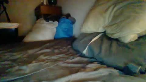 Snapshot of livecock89 chatting on February 5, 12:38 pm livecock89 online show from February 5, 12:38 pm