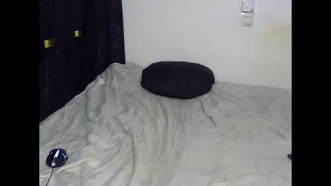 livhorny online show from November 21, 12:04 pm