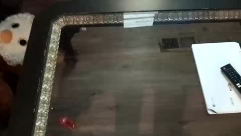 LjCherry online show from November 1, 7:21 am