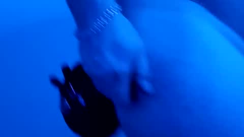 lllortx online show from February 9, 3:56 pm