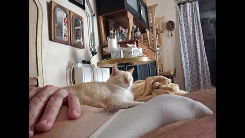 Lo82 online show from October 3, 11:51 am