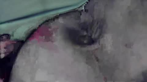 lofkok online show from March 12, 4:13 pm