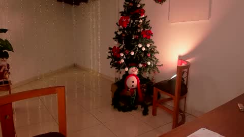 Snapshot of lola_cocks chatting on December 15, 11:31 pm mara online show from December 15, 11:31 pm