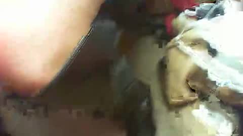 lolote36 online show from February 11, 11:32 pm