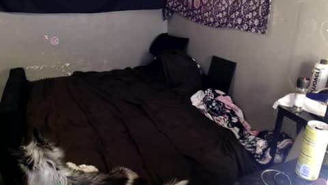 Snapshot of londonray chatting on March 8, 8:23 pm londonray online show from March 8, 8:23 pm