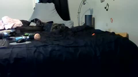 Snapshot of lonelydick2222 chatting on May 25, 1:28 pm lonelydick2222 online show from May 25, 1:28 pm