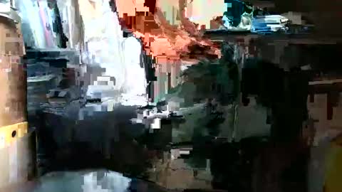 Pumabreizh online show from February 2, 1:08 pm