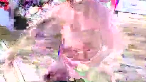 Snapshot of look4fun316 chatting on November 4, 1:48 am look4fun316 online show from November 4, 1:48 am