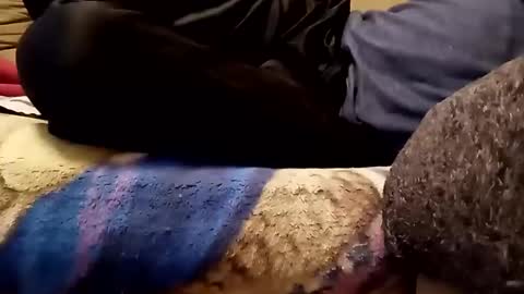 Snapshot of looking4bush chatting on November 13, 6:01 am looking4bush online show from November 13, 6:01 am