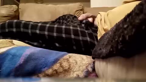 Snapshot of looking4bush chatting on January 13, 3:34 am looking4bush online show from January 13, 3:34 am