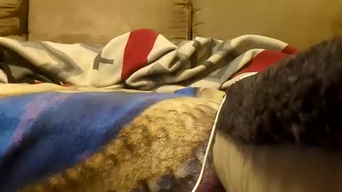 Snapshot of looking4bush chatting on January 19, 5:55 am looking4bush online show from January 19, 5:55 am