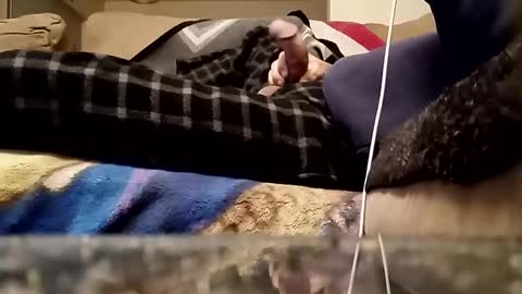 Snapshot of looking4bush chatting on March 18, 1:09 am looking4bush online show from March 18, 1:09 am