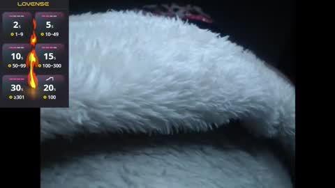 lorenitha online show from October 27, 2:59 am