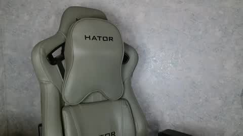 Megane online show from February 4, 8:56 am