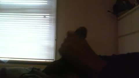 lovebignip online show from February 19, 8:01 am