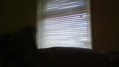 lovebignip online show from March 6, 9:03 am