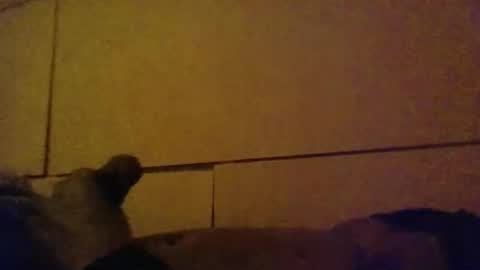 lovebignip online show from February 16, 5:14 am