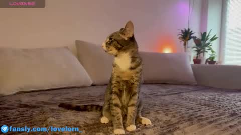 Elsa online show from October 22, 11:54 am