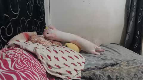 Snapshot of loveme114 chatting on March 30, 12:33 am loveme114 online show from March 30, 12:33 am