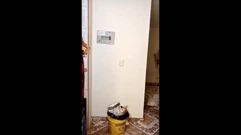 Snapshot of luana363 chatting on January 11, 4:50 am luana363 online show from January 11, 4:50 am