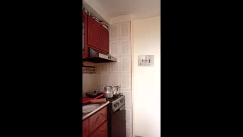 Snapshot of luanapowerful chatting on January 15, 4:22 pm luanapowerful online show from January 15, 4:22 pm