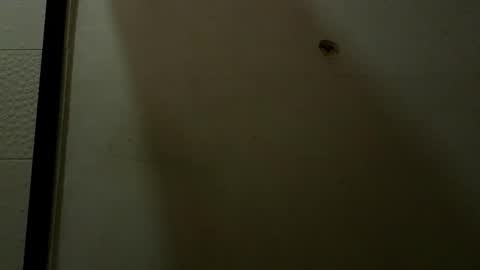 Luciana Ramirez  Sofia Collins online show from May 9, 9:42 pm