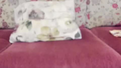 Mysterious Girl online show from December 22, 8:49 am