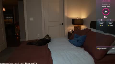 Lucid Lu online show from October 15, 12:00 am