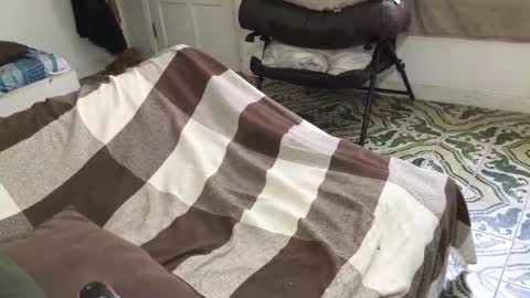 Snapshot of lucifer_curious chatting on March 28, 4:39 pm lucifer_curious online show from March 28, 4:39 pm