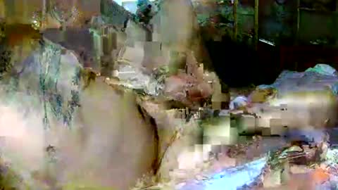 lucky134u online show from April 3, 3:10 pm