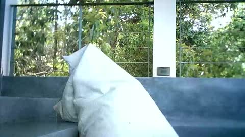 LuckyLukas online show from November 4, 4:44 am