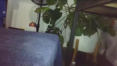 Luke online show from February 14, 9:00 pm