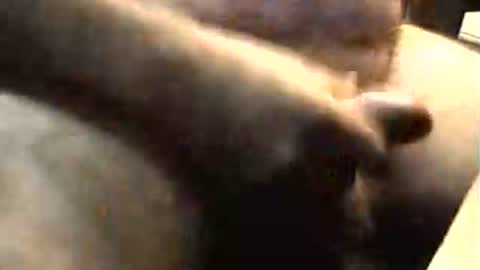 lukestarfckr online show from November 2, 9:22 am