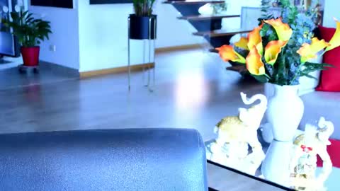 Snapshot of lukhass chatting on February 20, 9:48 pm Lukhas f4f online show from February 20, 9:48 pm