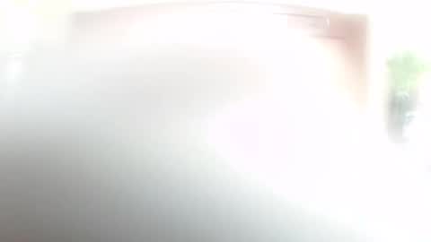 Snapshot of lulu_wild chatting on February 14, 9:17 am lulu_wild online show from February 14, 9:17 am