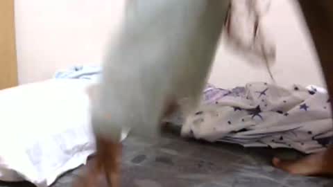 Snapshot of lunargoddess45 chatting on March 3, 3:12 am lunargoddess45 online show from March 3, 3:12 am