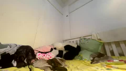 Luscious nita online show from April 3, 7:50 am