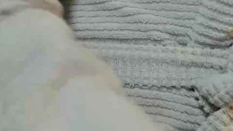 Snapshot of lustgardener67 chatting on December 9, 6:03 pm lustgardener67 online show from December 9, 6:03 pm