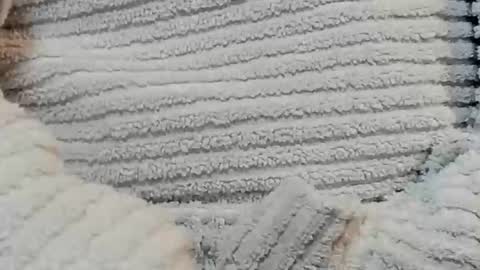 Snapshot of lustgardener67 chatting on December 15, 4:48 pm lustgardener67 online show from December 15, 4:48 pm