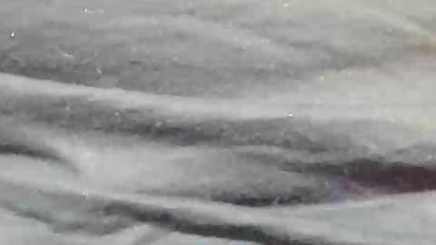 Snapshot of lustgardener67 chatting on January 9, 11:24 pm lustgardener67 online show from January 9, 11:24 pm