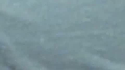 Snapshot of lustgardener67 chatting on January 27, 10:06 am lustgardener67 online show from January 27, 10:06 am