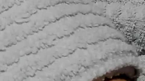 Snapshot of lustgardener67 chatting on February 3, 7:21 pm lustgardener67 online show from February 3, 7:21 pm