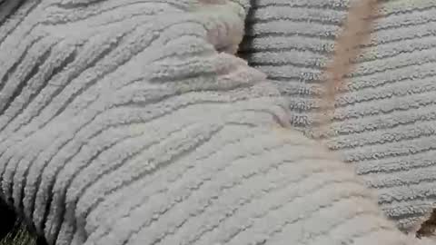 Snapshot of lustgardener67 chatting on February 9, 7:16 am lustgardener67 online show from February 9, 7:16 am