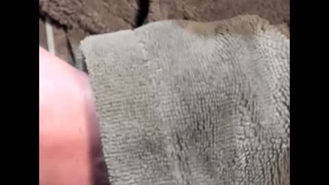 Snapshot of lustgardener67 chatting on March 4, 7:19 am lustgardener67 online show from March 4, 7:19 am