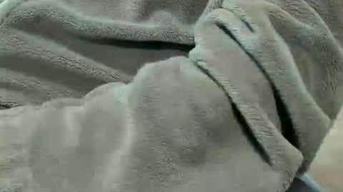 Snapshot of lustgardener67 chatting on October 7, 7:11 pm lustgardener67 online show from October 7, 7:11 pm