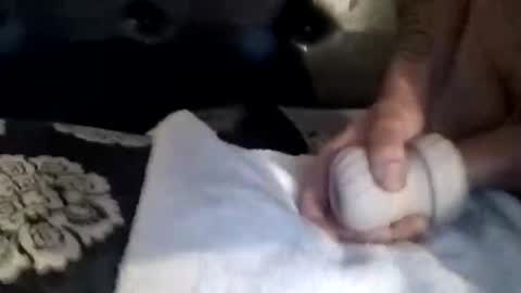 luvbiga554evr online show from November 5, 4:51 pm