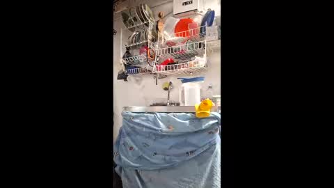 luxdasilva online show from May 14, 6:26 pm