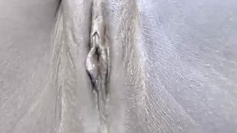 lyiajee online show from October 14, 7:09 am